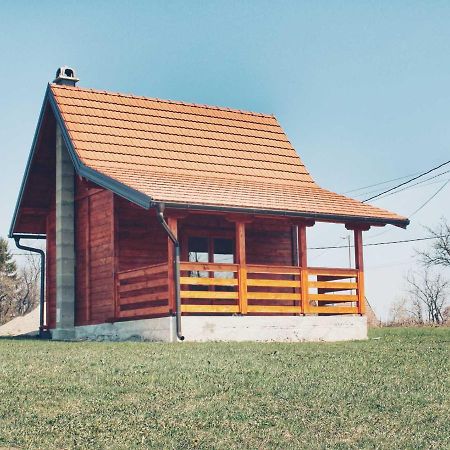 Vila Brvnara Zecevic Zlatibor Exteriér fotografie