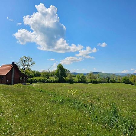 Vila Brvnara Zecevic Zlatibor Exteriér fotografie