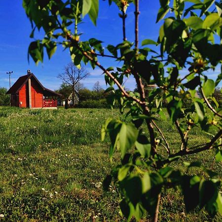 Vila Brvnara Zecevic Zlatibor Exteriér fotografie