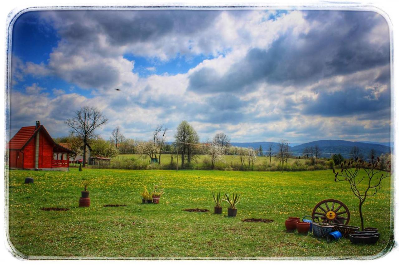 Vila Brvnara Zecevic Zlatibor Exteriér fotografie