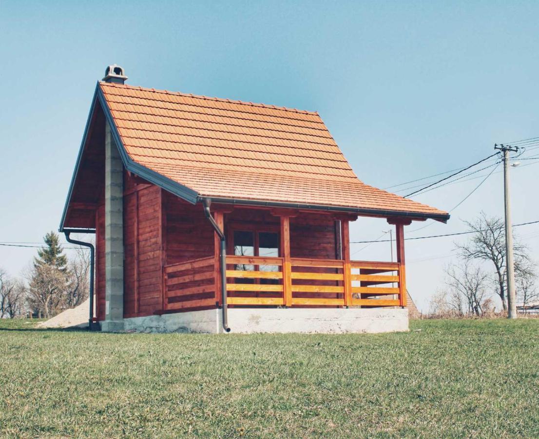 Vila Brvnara Zecevic Zlatibor Exteriér fotografie