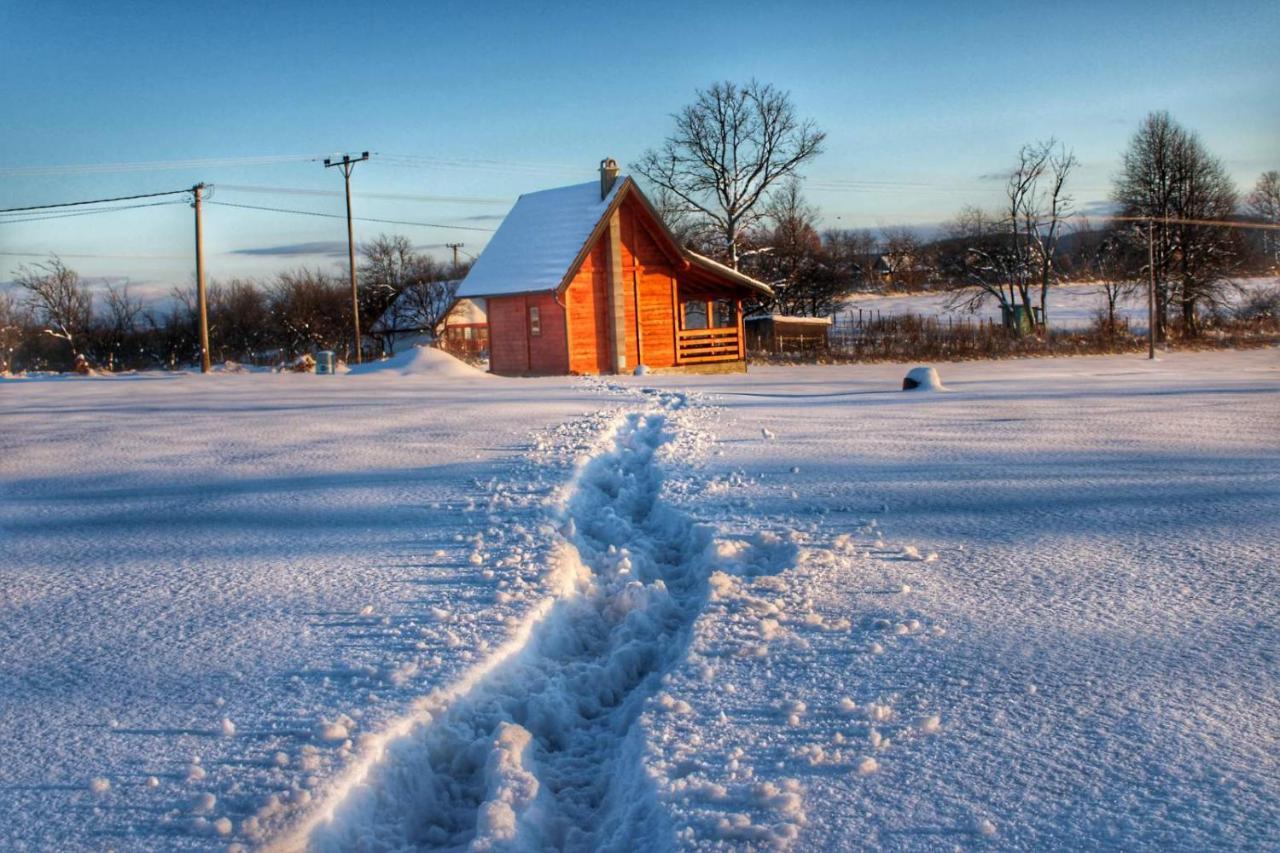 Vila Brvnara Zecevic Zlatibor Exteriér fotografie