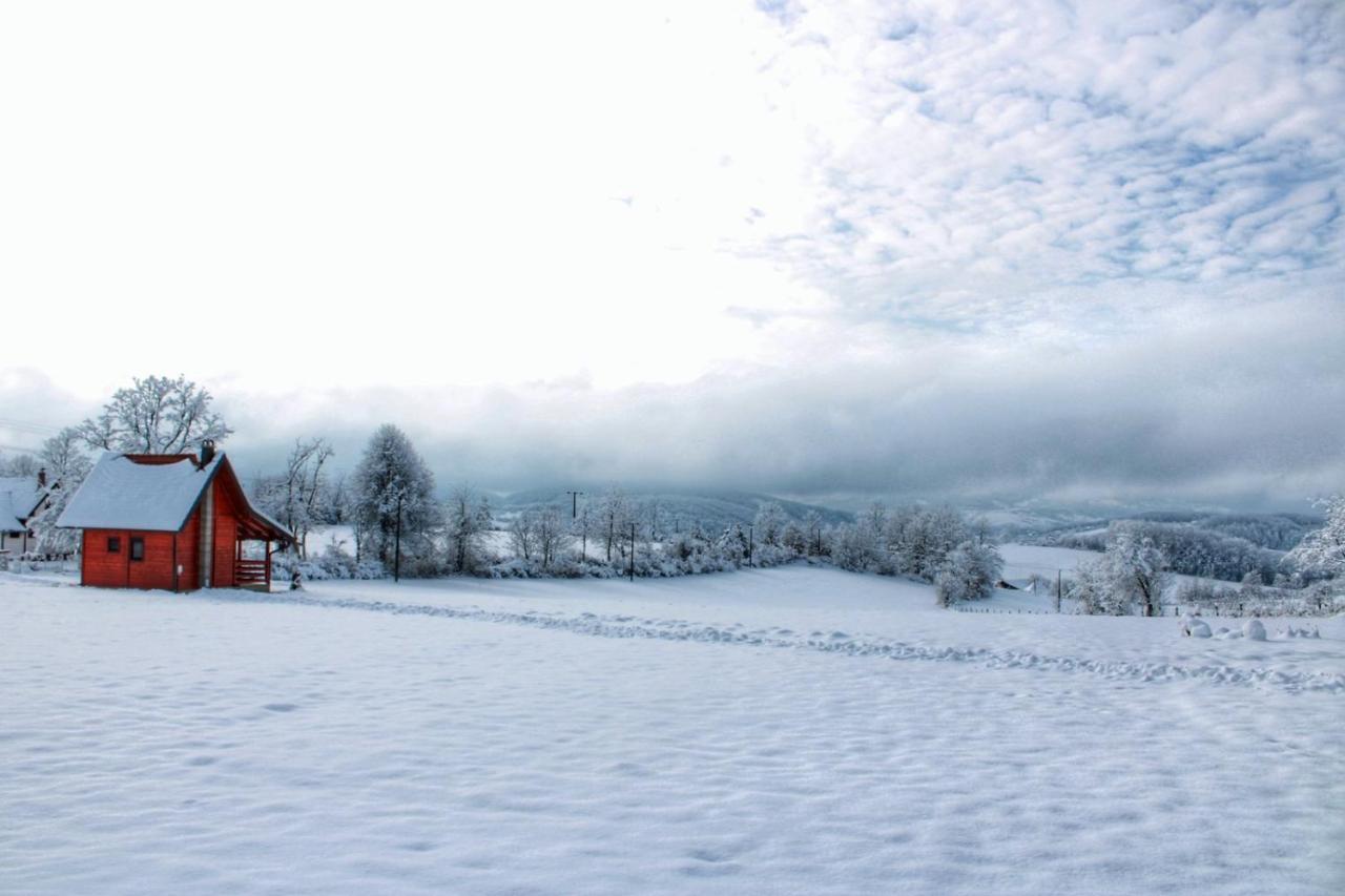 Vila Brvnara Zecevic Zlatibor Exteriér fotografie