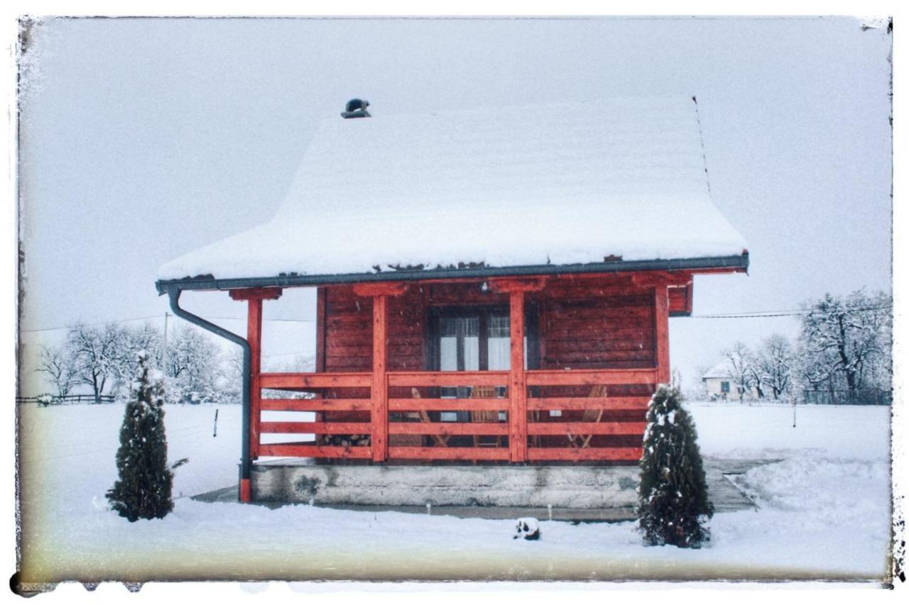 Vila Brvnara Zecevic Zlatibor Exteriér fotografie