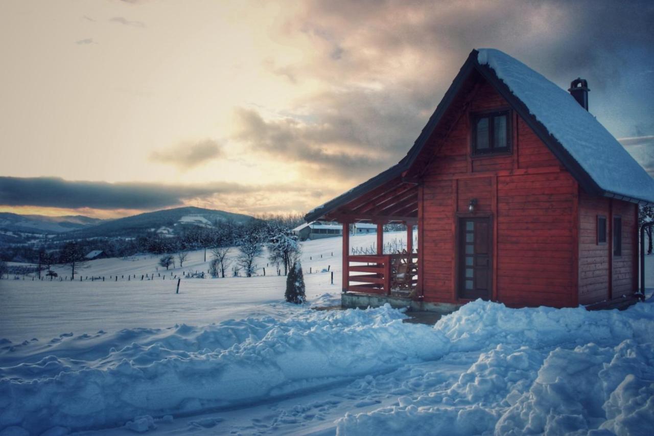 Vila Brvnara Zecevic Zlatibor Exteriér fotografie