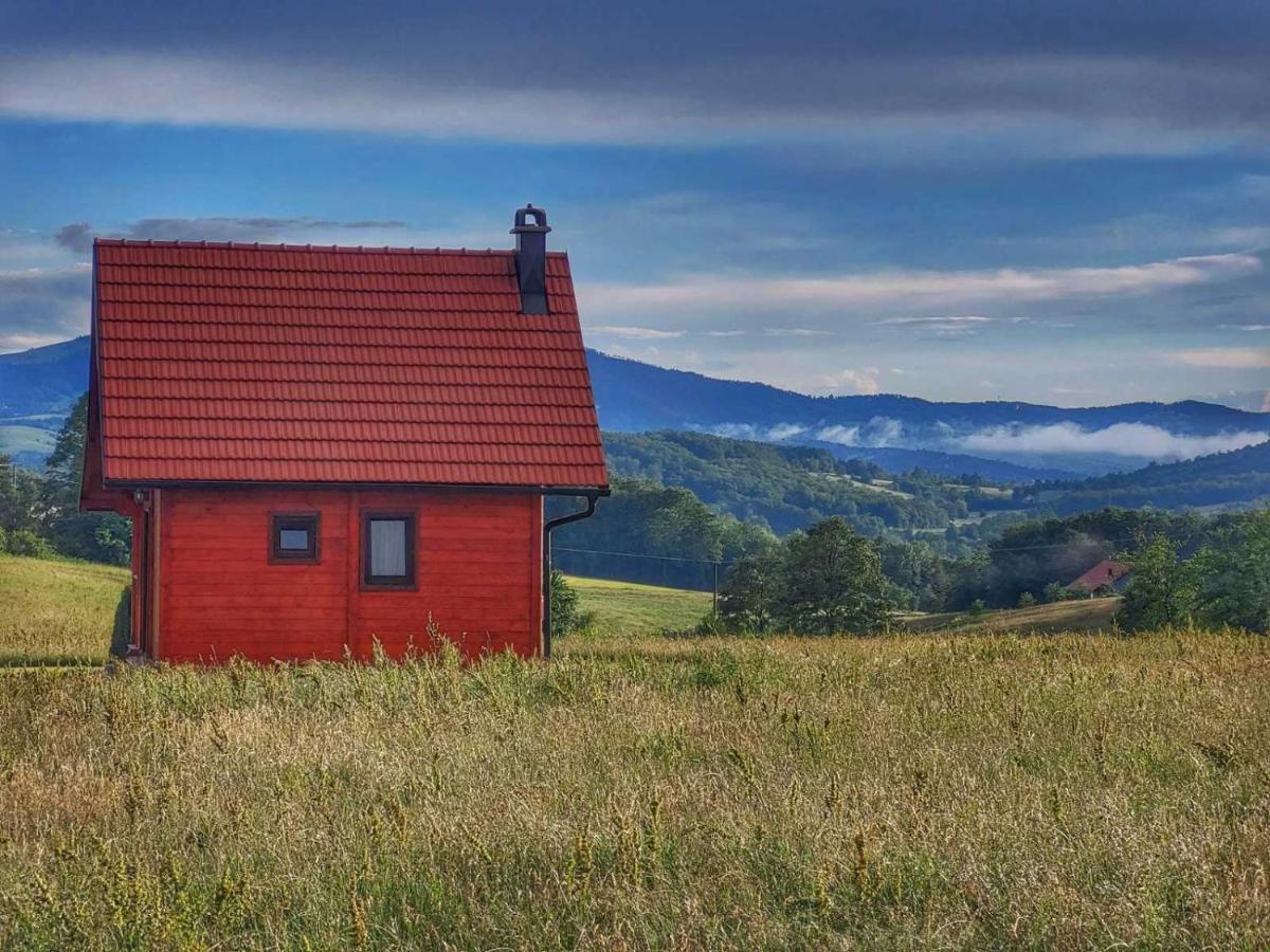 Vila Brvnara Zecevic Zlatibor Exteriér fotografie