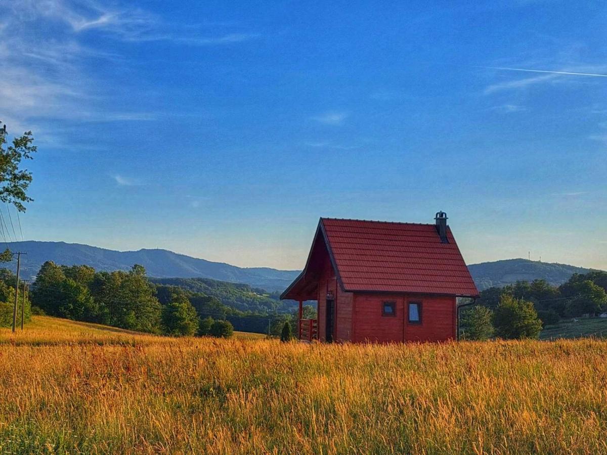 Vila Brvnara Zecevic Zlatibor Exteriér fotografie