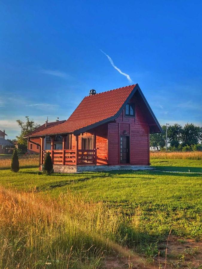 Vila Brvnara Zecevic Zlatibor Exteriér fotografie