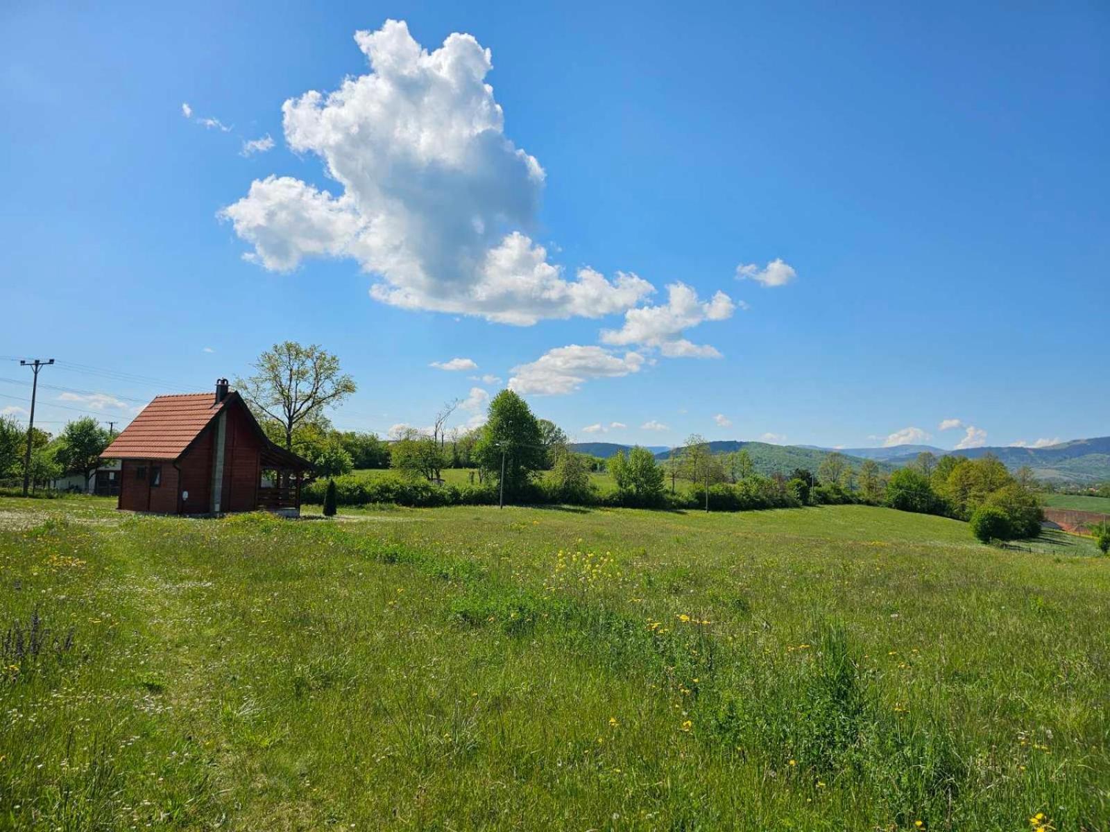 Vila Brvnara Zecevic Zlatibor Exteriér fotografie