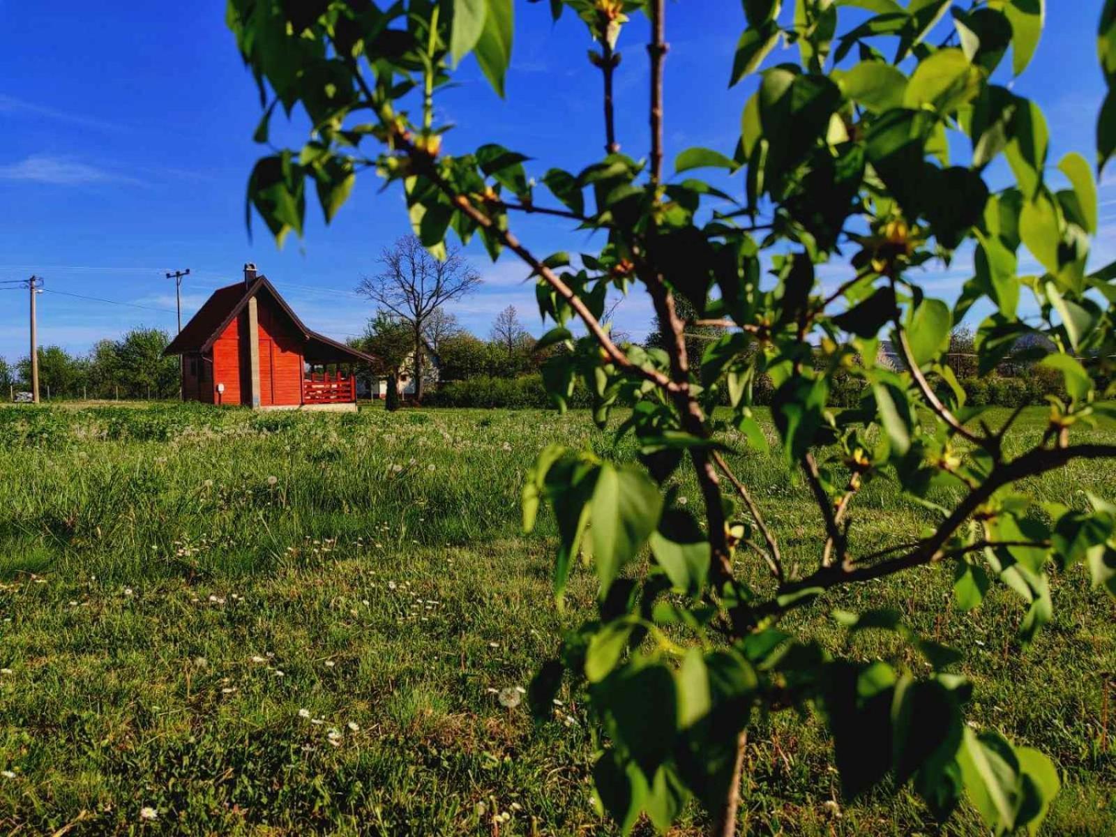 Vila Brvnara Zecevic Zlatibor Exteriér fotografie